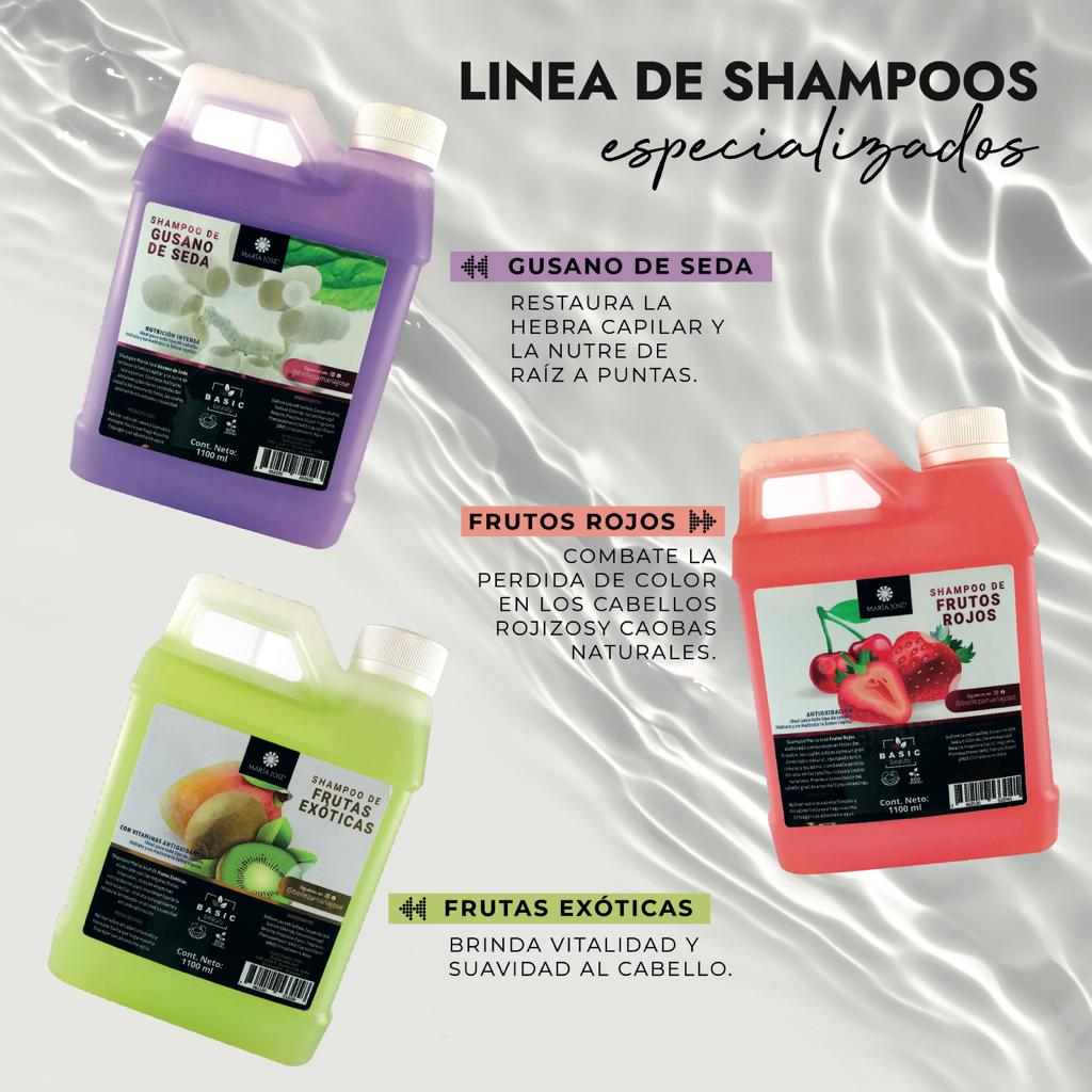 🎀SHAMPO Y ACONDICIONADOR🎀 ✨Original María José✨